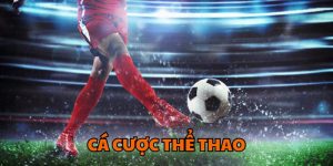 cá cược thể thao