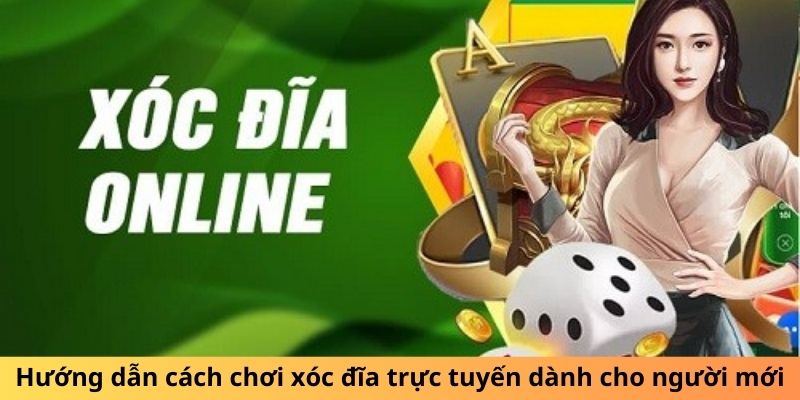 Hướng dẫn cách chơi xóc đĩa trực tuyến dành cho người mới