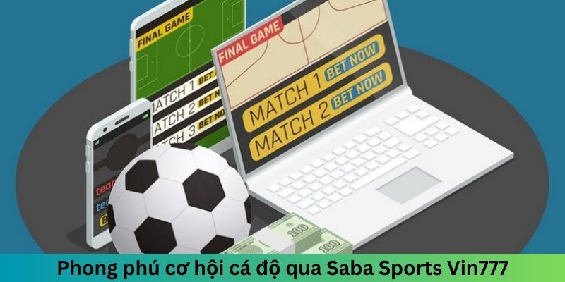 Phong phú cơ hội cá độ qua Saba Sports Vin777