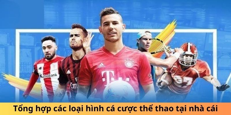 Tổng hợp các loại hình cá cược sports tại nhà cái